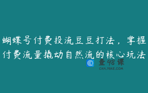 蝴蝶号付费投流豆豆打法，掌握付费流量撬动自然流的核心玩法