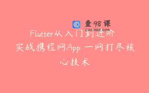 Flutter从入门到进阶 实战携程网App 一网打尽核心技术
