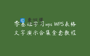 零基础学习wps WPS表格文字演示合集全套教程
