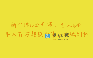 新个体ip公开课，素人ip到年入百万超级个体，公域到私