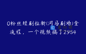 0粉丝短剧拉新(河马剧场)全流程，一个视频搞了2954