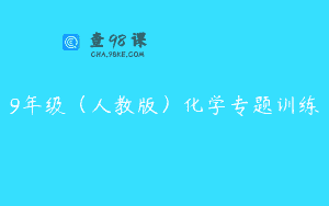 9年级（人教版）化学专题训练