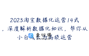 2023淘宝数据化运营14式,深度解析数据化知识,帮你从小白成长为高级运营