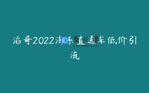 滔哥2022淘系直通车低价引流