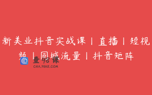 新美业抖音实战课丨直播丨短视频丨同城流量丨抖音矩阵