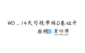 WD_14天可视带练0基础开后胯
