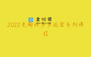 2022老陶拼多多运营系列课程
