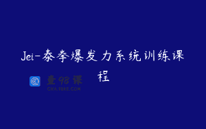 Jei-泰拳爆发力系统训练课程