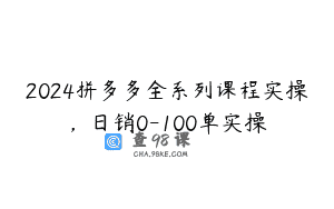 2024拼多多全系列课程实操，日销0-100单实操