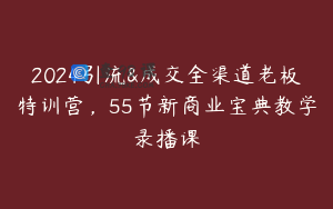 2024引流&成交全渠道老板特训营，55节新商业宝典教学录播课