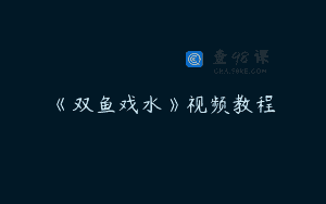 《双鱼戏水》视频教程