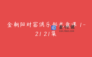 金朝阳财富俱乐部光盘课 1-21 21集
