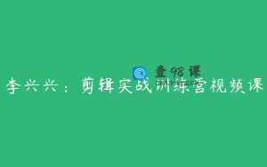 李兴兴：剪辑实战训练营视频课