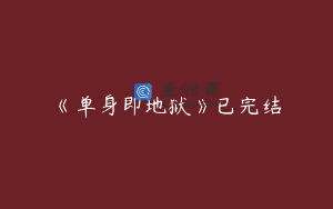 《单身即地狱》已完结