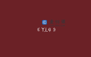 《Y.L4》