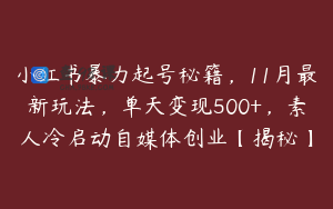 小红书暴力起号秘籍,11月最新玩法,单天变现500+,素人冷启动自媒体创业【揭秘】