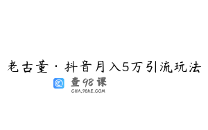 老古董·抖音月入5万引流玩法