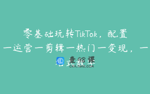 零基础玩转TikTok，配置一运营一剪辑一热门一变现，一站式教学