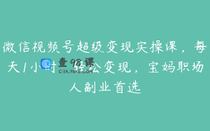 微信视频号超级变现实操课，每天1小时，轻松变现，宝妈职场人副业首选