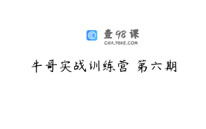 牛哥实战训练营 第六期