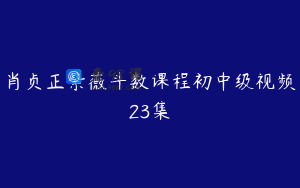 肖贞正紫薇斗数课程初中级视频23集