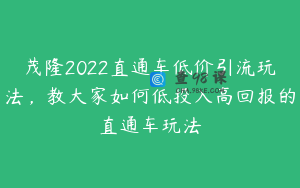 茂隆2022直通车低价引流玩法，教大家如何低投入高回报的直通车玩法
