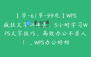 【学-61节-99元】WPS疯狂文字训练营，5小时学习WPS文字技巧，高效办公不求人！_WPS办公好物