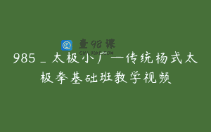 985_太极小广—传统杨式太极拳基础班教学视频