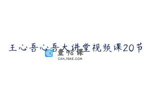 王心吾心吾大讲堂视频课20节