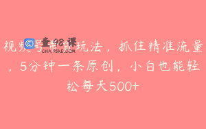 视频号带货玩法，抓住精准流量，5分钟一条原创，小白也能轻松每天500+