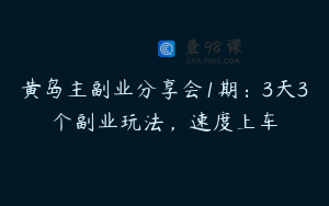 黄岛主副业分享会1期：3天3个副业玩法，速度上车