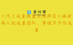 《线上流量操盘实操课程》搭建高人效流量团队，掌握多平台流量