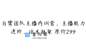 白鹭团队主播内训营,主播能力进阶,话术框架 原价299