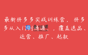 最新拼多多实战训练营， 拼多多从入门到精通，，覆盖选品、运营、推广、起款