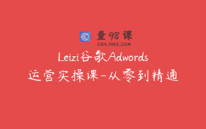 Leizi谷歌Adwords运营实操课-从零到精通