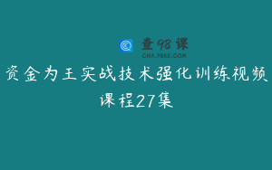 资金为王实战技术强化训练视频课程27集