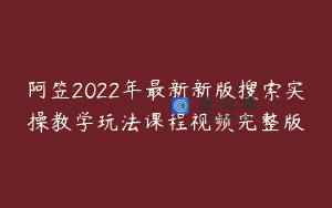 阿笠2022年最新新版搜索实操教学玩法课程视频完整版