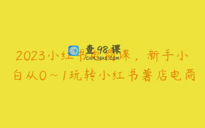 2023小红书电商课，新手小白从0~1玩转小红书薯店电商