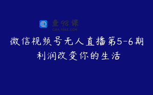 微信视频号无人直播第5-6期 利润改变你的生活