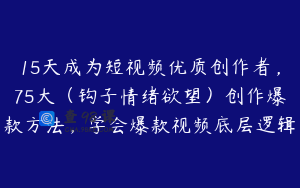 15天成为短视频优质创作者，75大（钩子情绪欲望）创作爆款方法，学会爆款视频底层逻辑