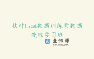 秋叶Excel数据训练营数据处理学习班