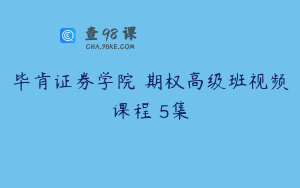 毕肯证券学院 期权高级班视频课程 5集