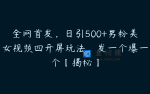 全网首发，日引500+男粉美女视频四开屏玩法，发一个爆一个【揭秘】