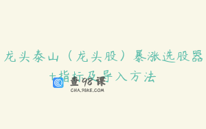 龙头泰山（龙头股）暴涨选股器+指标及导入方法