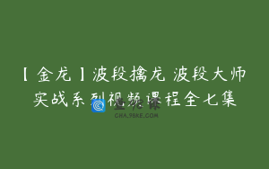【金龙】波段擒龙 波段大师 实战系列视频课程全七集