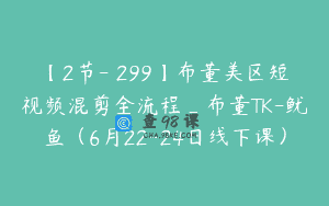 【2节-￥299】布董美区短视频混剪全流程_布董TK-鱿鱼（6月22-24日线下课）