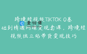 跨境短视频TIKTOK 0基础到精通网赚变现套课，跨境短视频独立站带货变现技巧