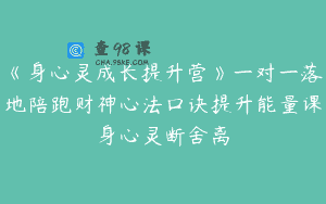 《身心灵成长提升营》一对一落地陪跑财神心法口诀提升能量课身心灵断舍离