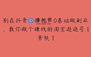 别在抖音里挣扎！0基础做副业，教你做个赚钱的淘宝逛逛号【音频】