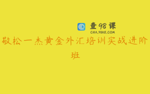 敬松一杰黄金外汇培训实战进阶班